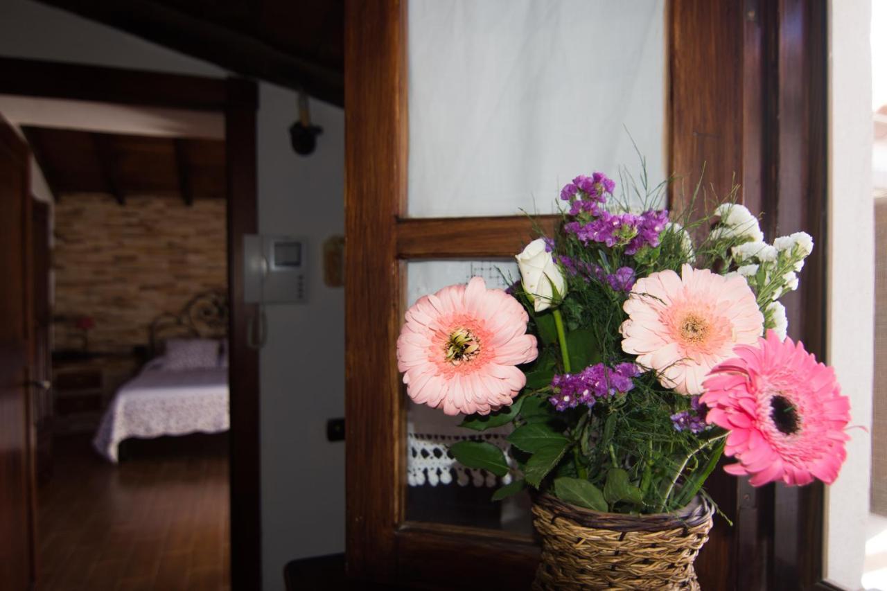 Holiday home Casa El Pino *